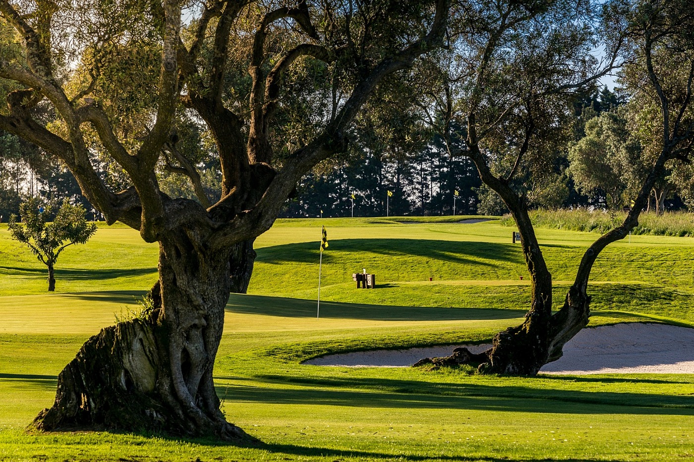 Parcours de Quinta da Ria Academy 